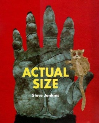 Book cover for Actual Size by Steve Jenkins